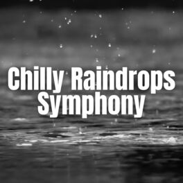 Album cover of Chilly Raindrops Symphony