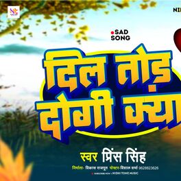 Album cover of Dil Tor Dogi Kya