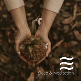 Album cover of Soothing Noise Sounds for Better Sleep and Great Relax