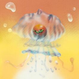 Album cover of Subtropical South