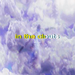 Album cover of in the clouts