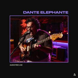Album cover of Dante Elephante on Audiotree Live