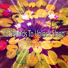 Album cover of 73 Sounds To Unlock Sleep