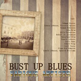 Album cover of Bust up Blues