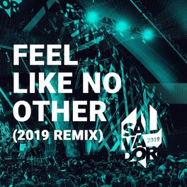 Album cover of Feel Like No Other (Remix)