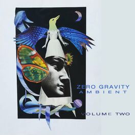 Album cover of Zero Gravity Ambient: Vol. 2