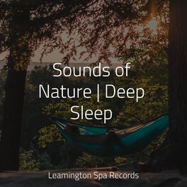 Album cover of Sounds of Nature | Deep Sleep