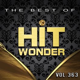 Album cover of Hit Wonder: The Best Of, Vol. 363