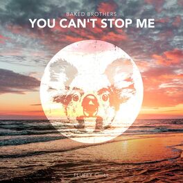 Album cover of You Can't Stop Me