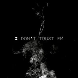 Album cover of I Don't Trust Em