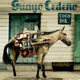 Album cover of Coco Bar