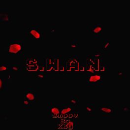 Album cover of S.W.A.N. (feat. K3Y & Bo)