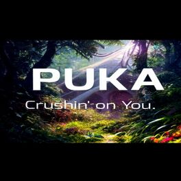 Album cover of Crushin on You
