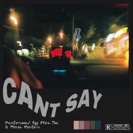 Album cover of CANT SAY (feat. Chase Shakur)