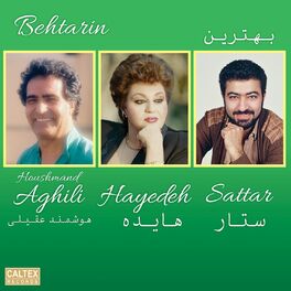 Album cover of Behtarin - Persian Music