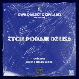 Album cover of Życie podaje dżejsa (feat. Kevlar52, MR. P, Delto & KZL)