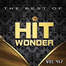 Album cover of Hit Wonder: The Best Of, Vol. 417