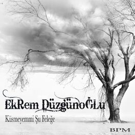 Album cover of Küsmeyem mi Şu Feleğe