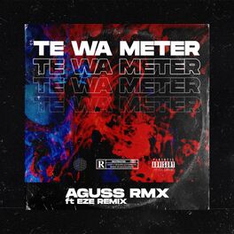 Album cover of Te Wa Meter (feat. Eze Remix)