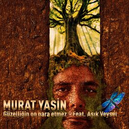 Album cover of Güzelliğin On Para Etmez (feat. Aşık Veysel)