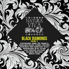 Album cover of Black Diamonds, Vol. 11