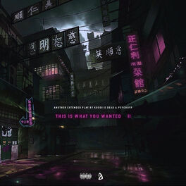 Album cover of This Is What You Wanted II
