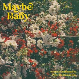 Album cover of Maybe Baby