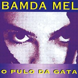 Album cover of O Pulod da Gata
