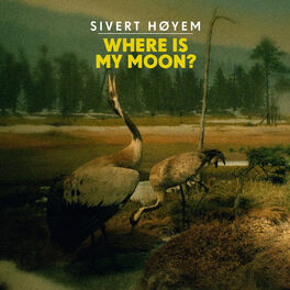 Album cover of Where Is My Moon?