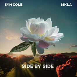 Album cover of Side By Side