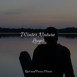 Album cover of Winter Nature Loops