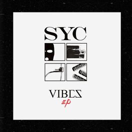 Album cover of Vibes
