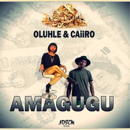 Album cover of Amagugu
