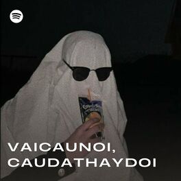 Album cover of vaicaunoi,caudathaydoi