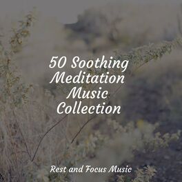 Album cover of 50 Soothing Meditation Music Collection