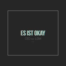 Album cover of Es ist okay (feat. LGM)