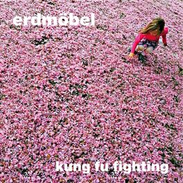 Album cover of Kung Fu Fighting