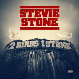 Album cover of 2 Birds 1 Stone (Deluxe Edition)