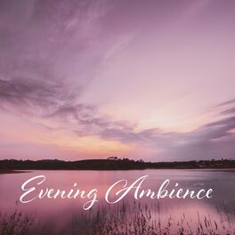 Album cover of Evening Ambience to Help You Drift Off At Night