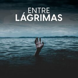 Album cover of Entre lágrimas
