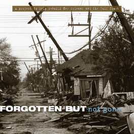 Album cover of Forgotten But Not Gone