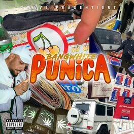 Album cover of Punica