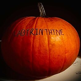 Album cover of Labyrinthine