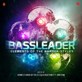 Album cover of Bassleader 2013 Elements