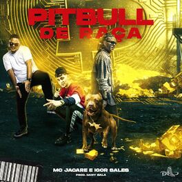 Album cover of Pitbull de Raça