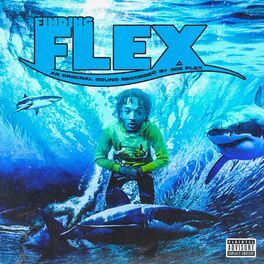 Album cover of Finding Flex
