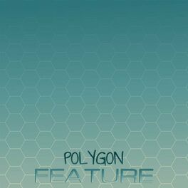 Album cover of Polygon Feature