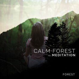 Album cover of Calm Forest Meditation