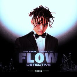 Album cover of Flow Detective