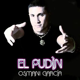 Album cover of El Pudì­n